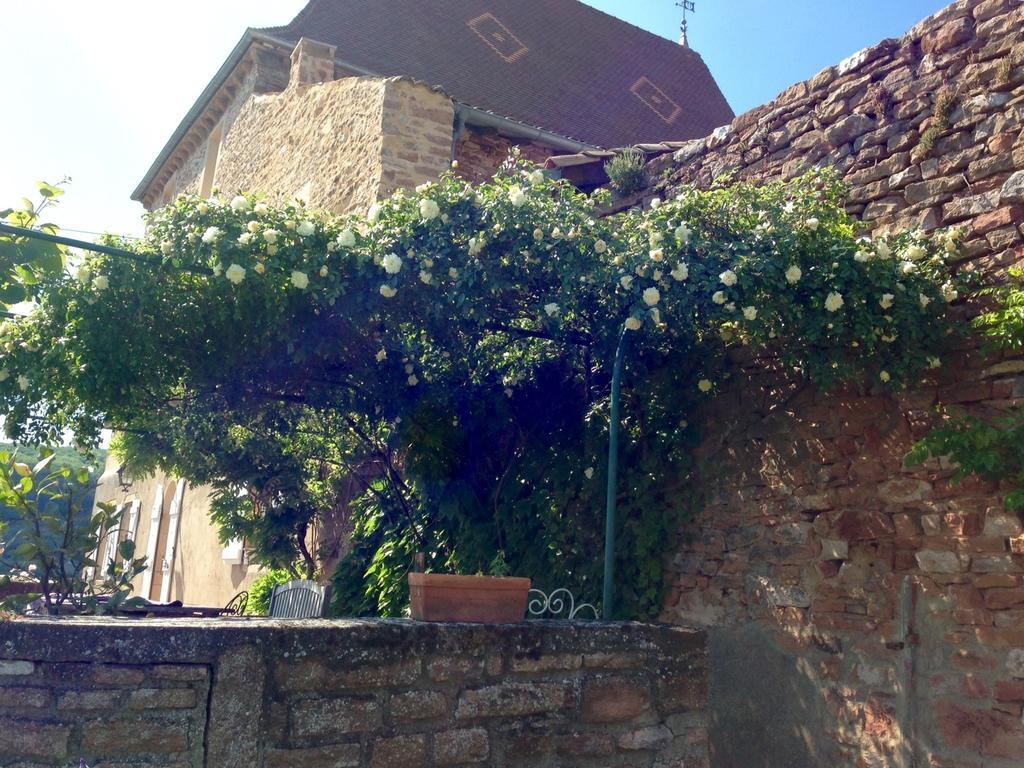 Le Vieux Chateau Bed and Breakfast Leynes Zewnętrze zdjęcie